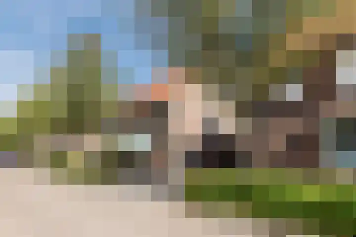 van der Puttstraat 38 Geldrop thumbnail 40