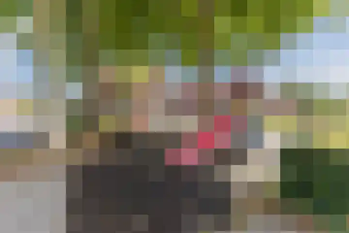 van der Puttstraat 38 Geldrop thumbnail 41