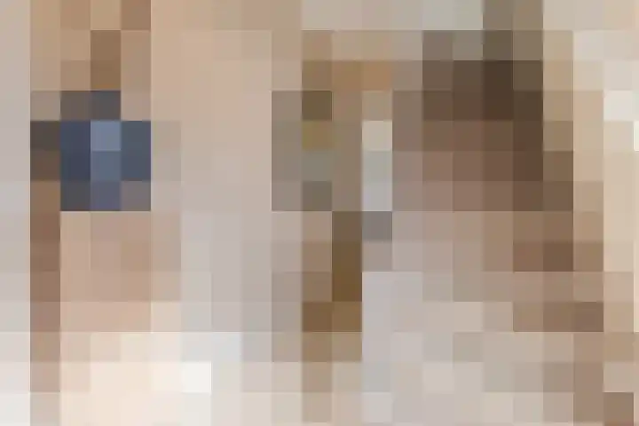 van der Puttstraat 38 Geldrop thumbnail 6