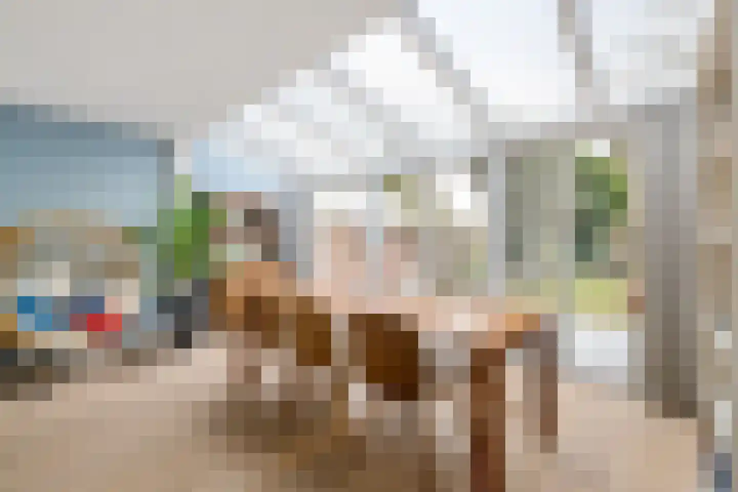 van der Puttstraat 43 Geldrop thumbnail 11