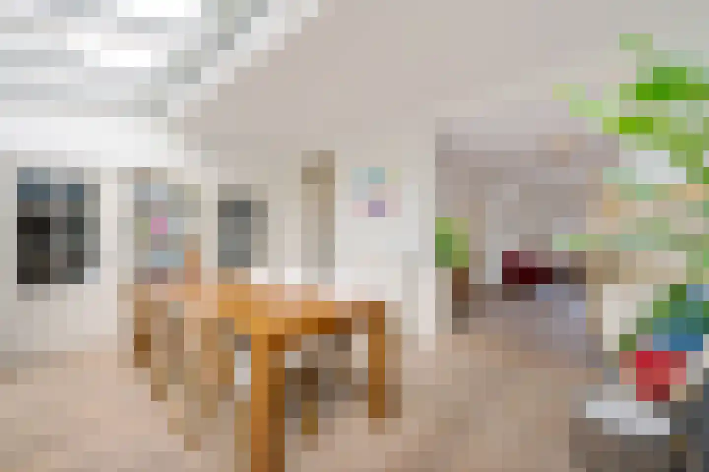 van der Puttstraat 43 Geldrop thumbnail 12