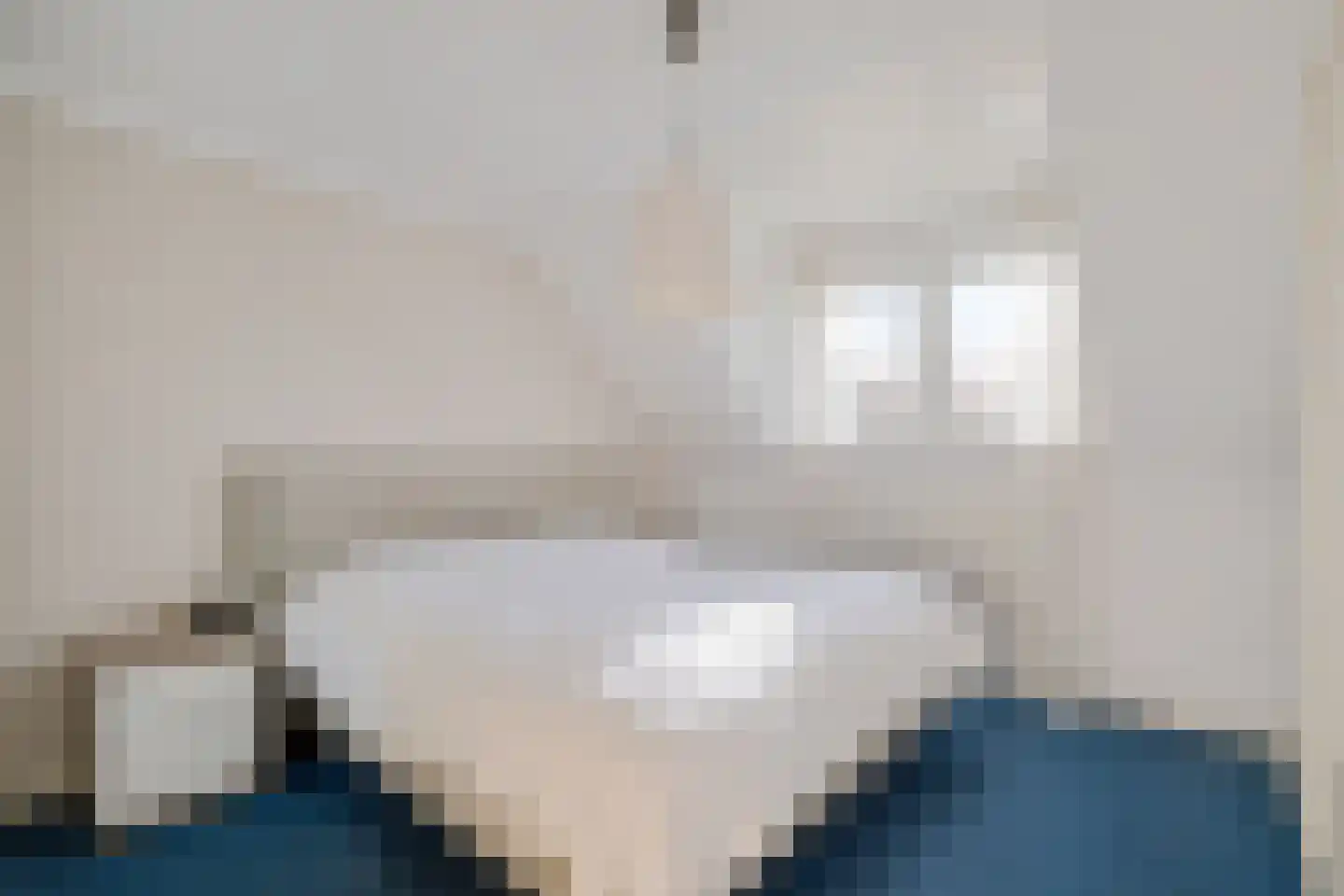 van der Puttstraat 43 Geldrop thumbnail 14
