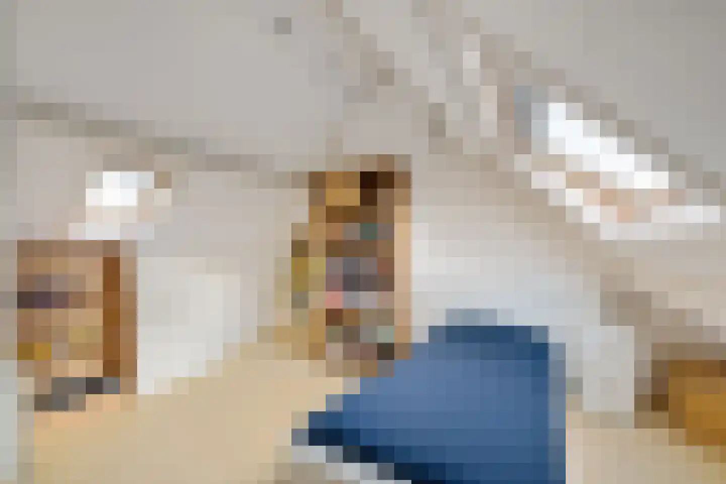 van der Puttstraat 43 Geldrop thumbnail 18