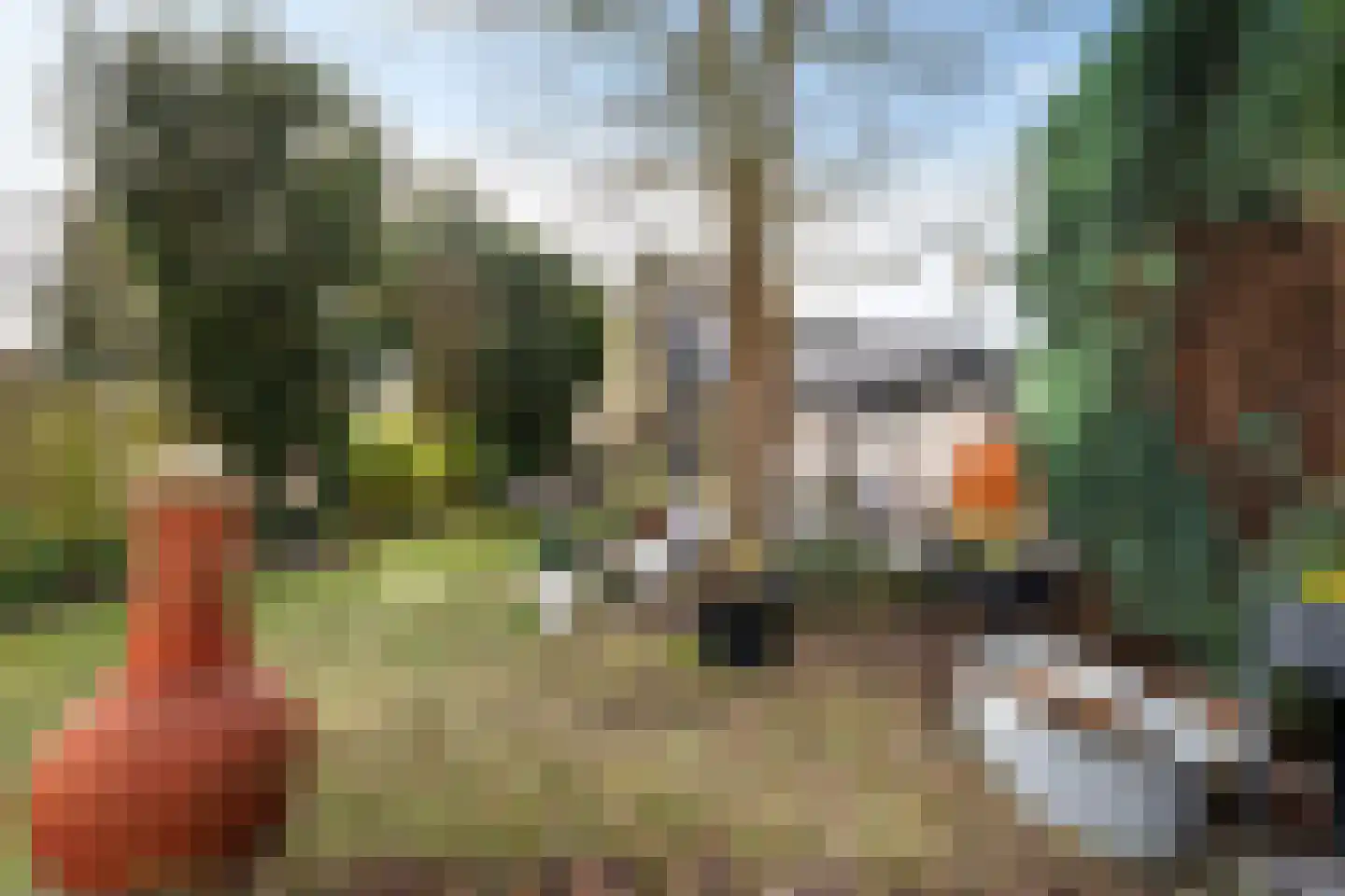 van der Puttstraat 43 Geldrop thumbnail 22