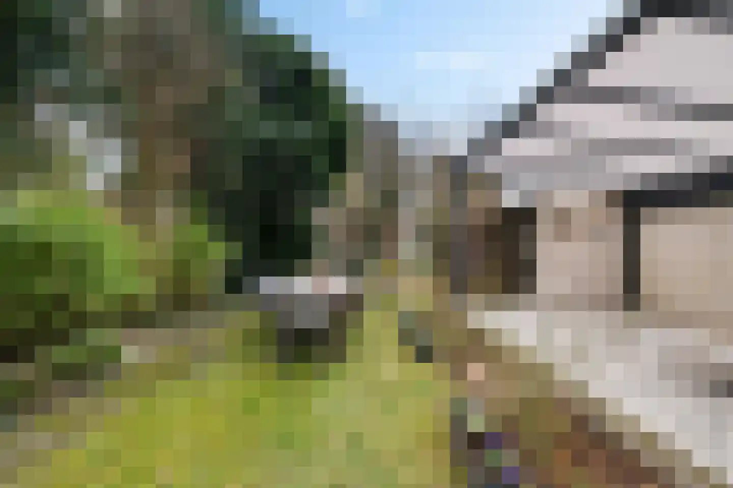 van der Puttstraat 43 Geldrop thumbnail 24