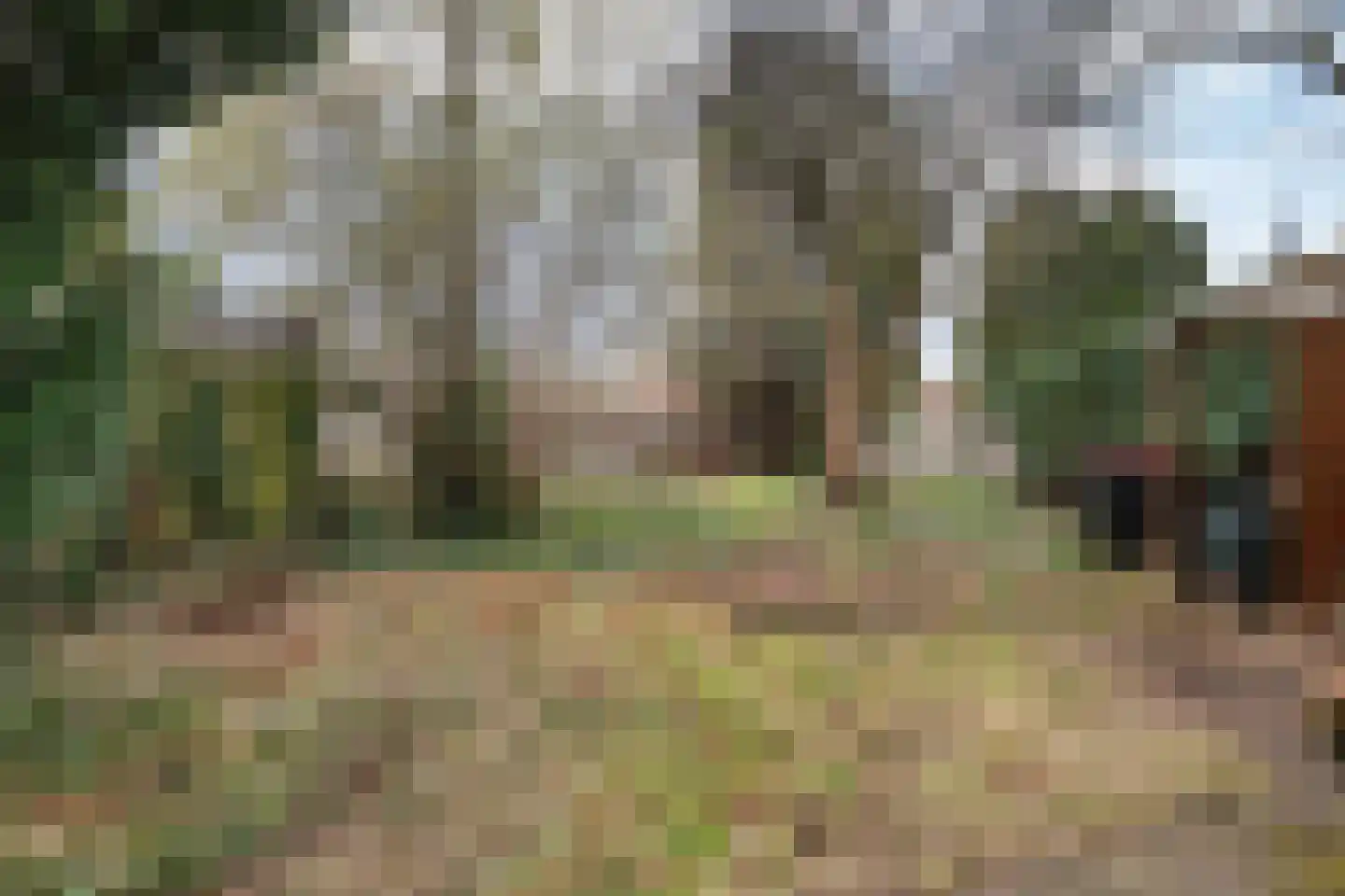 van der Puttstraat 43 Geldrop thumbnail 27