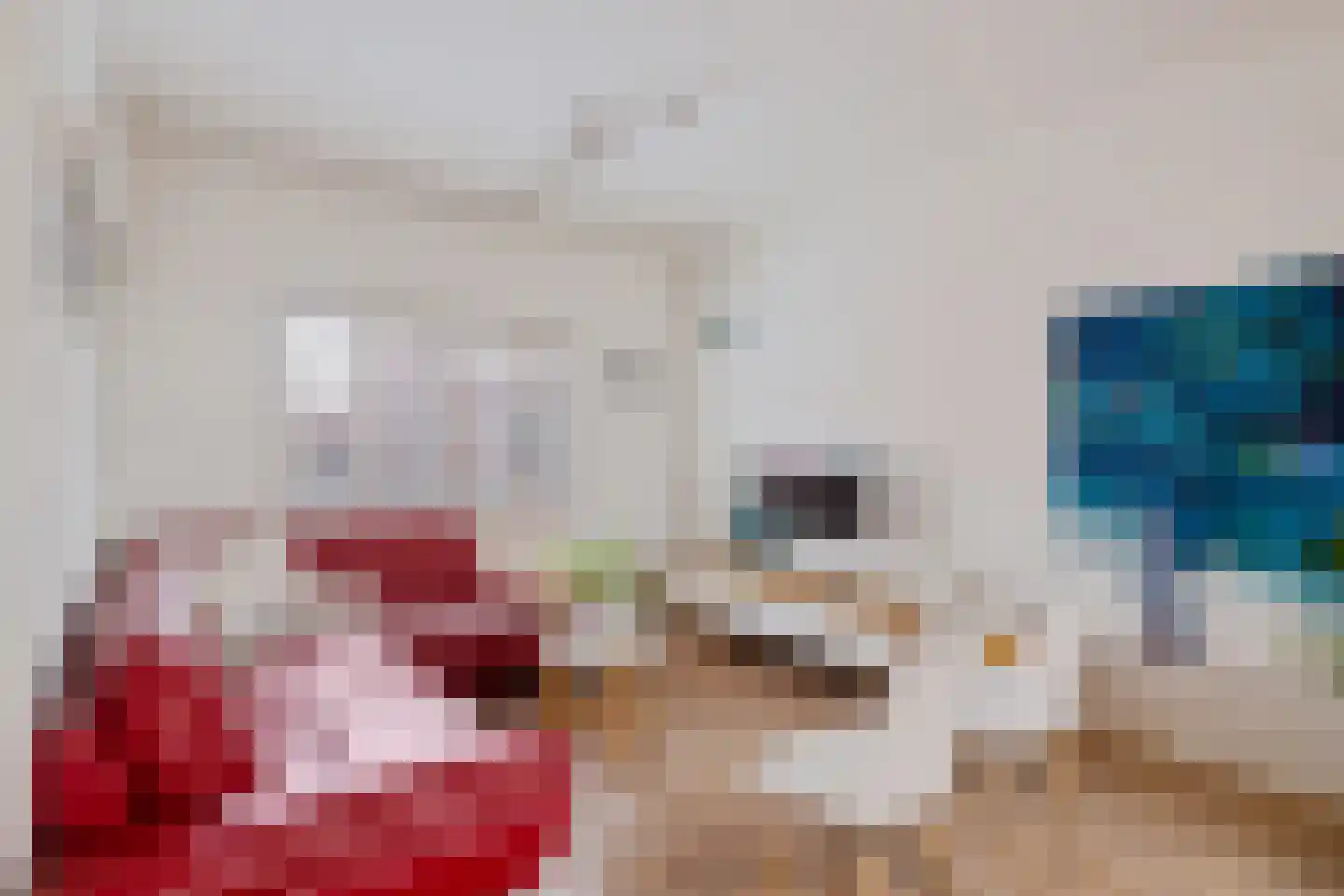 van der Puttstraat 43 Geldrop thumbnail 5
