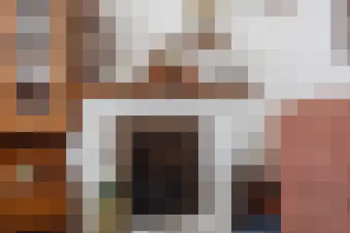 van der Puttstraat 52 Geldrop thumbnail 10