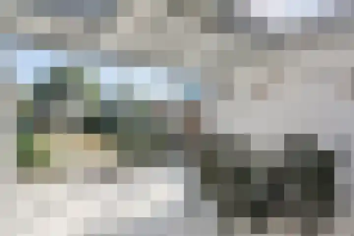 van der Puttstraat 52 Geldrop thumbnail 16