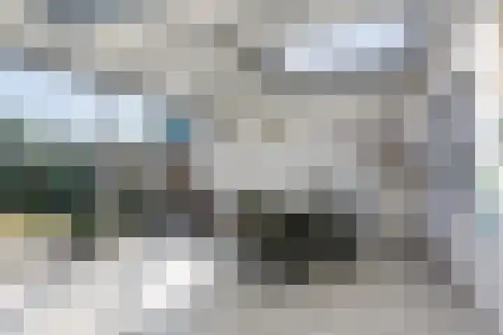 van der Puttstraat 52 Geldrop thumbnail 17
