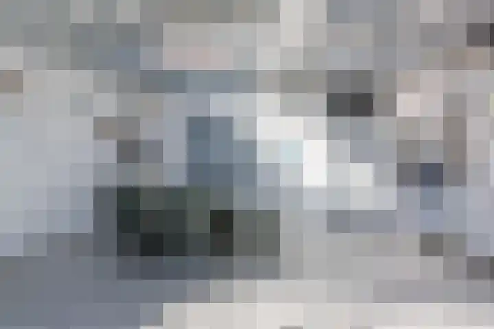 van der Puttstraat 52 Geldrop thumbnail 18