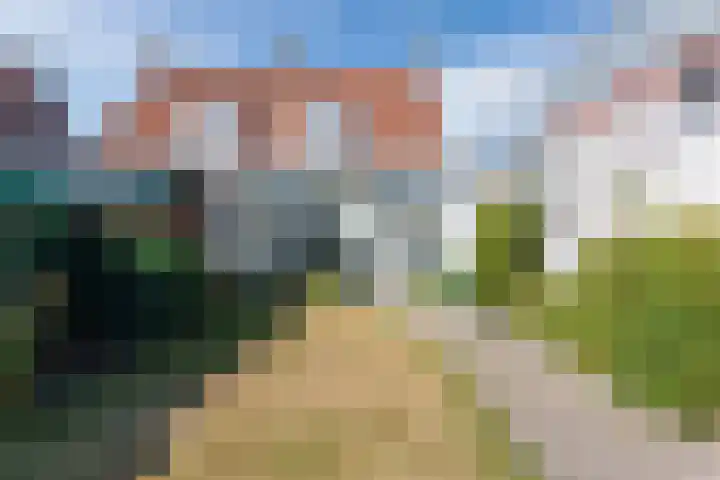 van der Puttstraat 52 Geldrop thumbnail 19