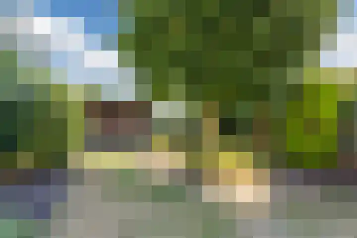 van der Puttstraat 52 Geldrop thumbnail 23