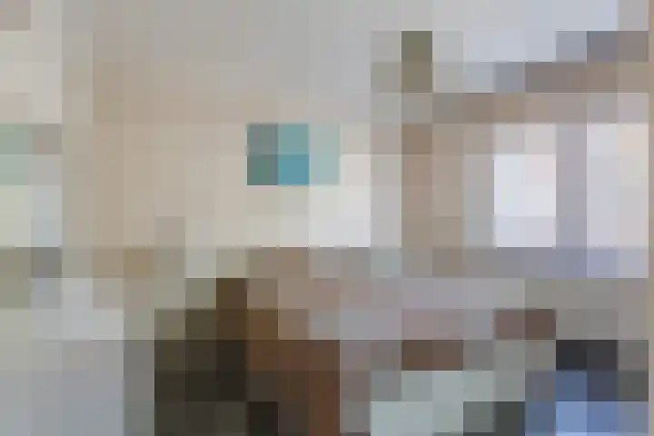 van der Puttstraat 52 Geldrop thumbnail 27