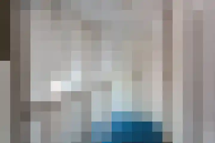 van der Puttstraat 52 Geldrop thumbnail 36