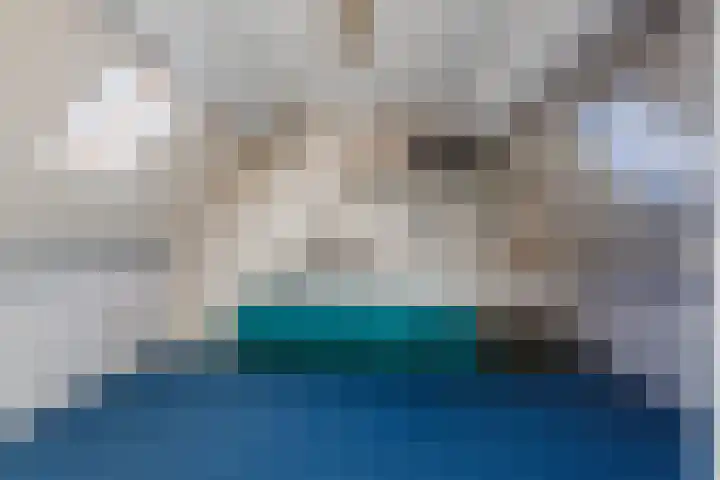 van der Puttstraat 52 Geldrop thumbnail 37