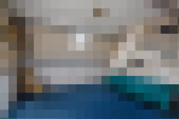 van der Puttstraat 52 Geldrop thumbnail 38