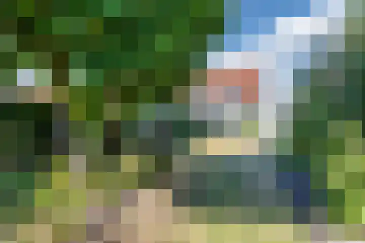 van der Puttstraat 52 Geldrop thumbnail 4