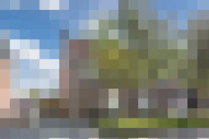 van der Puttstraat 52 Geldrop thumbnail 41