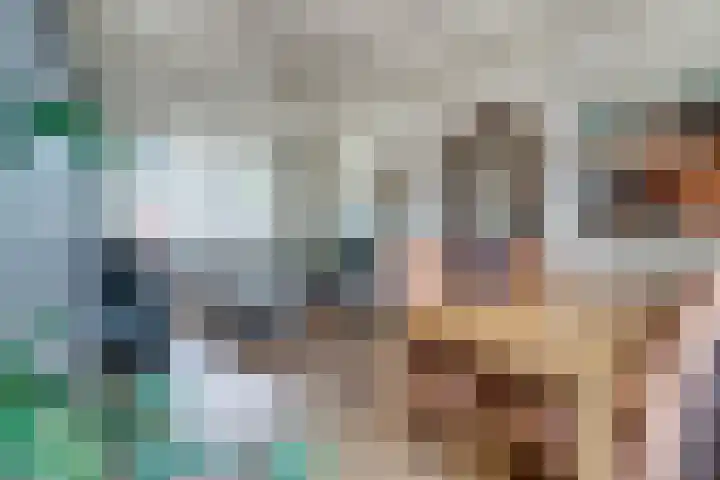 Van der Rennestraat 4 Beek thumbnail 22