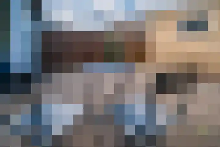 Van der Rennestraat 4 Beek thumbnail 28