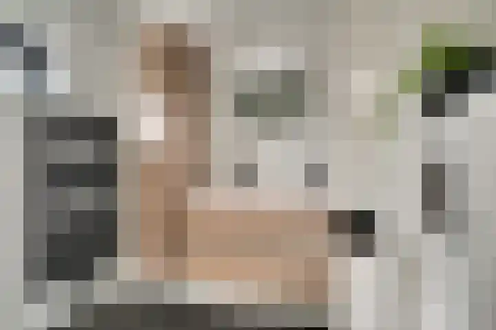 Van der Rennestraat 4 Beek thumbnail 33