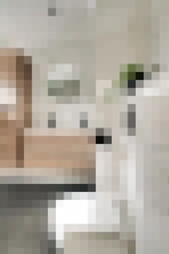 Van der Rennestraat 4 Beek thumbnail 35