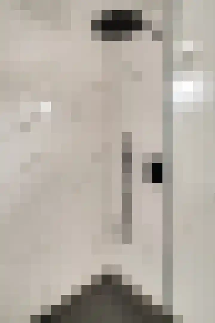 Van der Rennestraat 4 Beek thumbnail 36