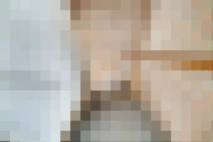 Van der Rennestraat 4 Beek thumbnail 38