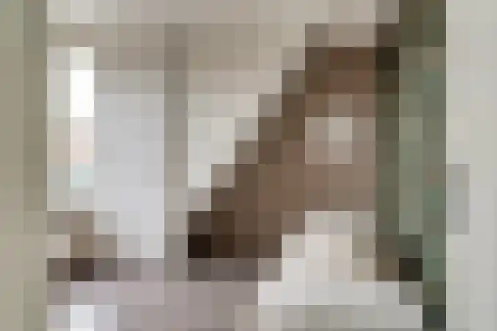 Van der Rennestraat 4 Beek thumbnail 42