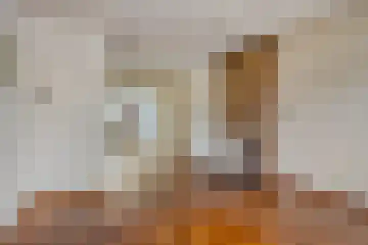 van der Renneweg 20 Herkenbosch thumbnail 13