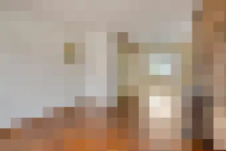 van der Renneweg 20 Herkenbosch thumbnail 14