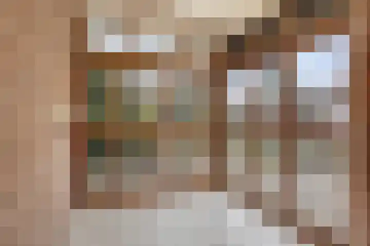 van der Renneweg 20 Herkenbosch thumbnail 20