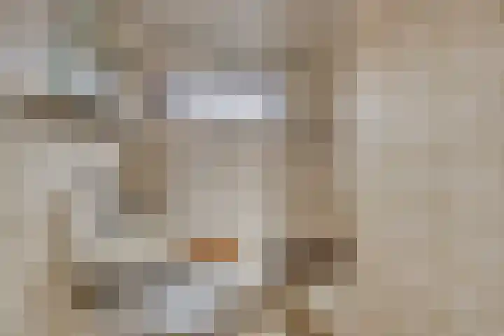 van der Renneweg 20 Herkenbosch thumbnail 27