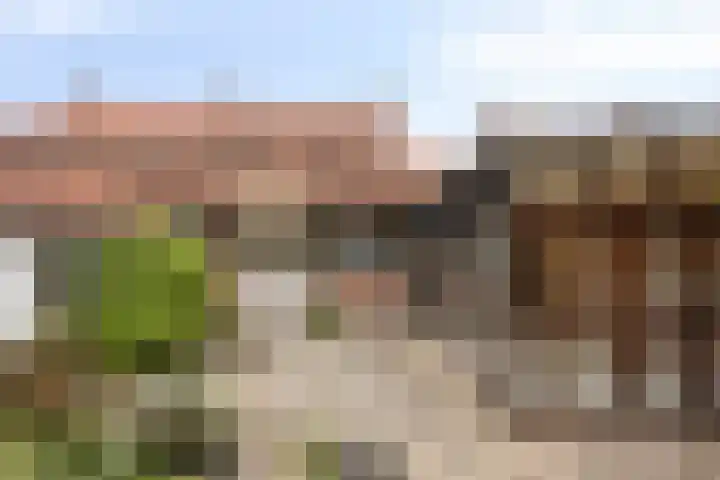 van der Renneweg 20 Herkenbosch thumbnail 29