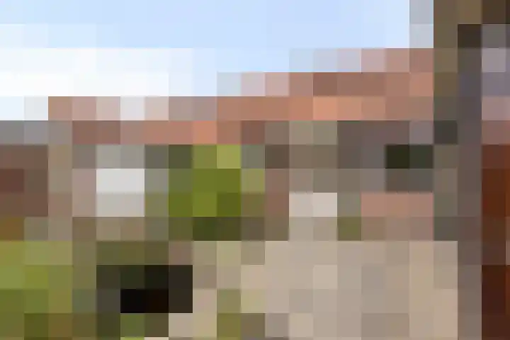 van der Renneweg 20 Herkenbosch foto 3