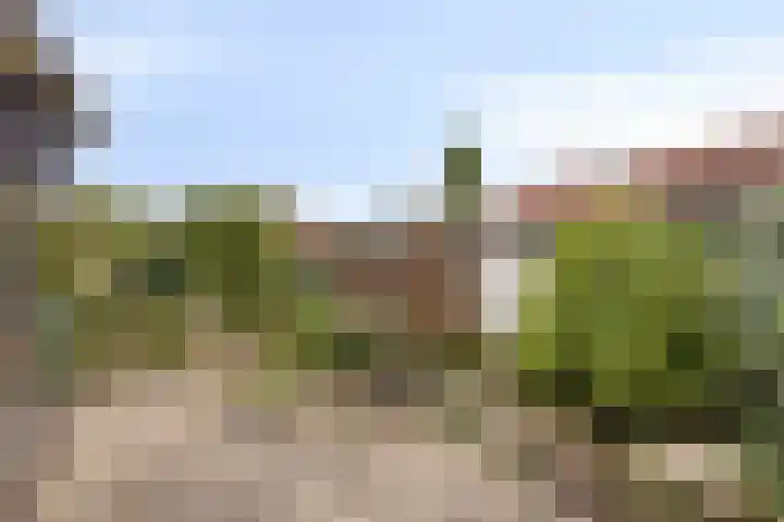 van der Renneweg 20 Herkenbosch thumbnail 31