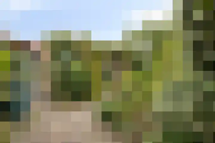van der Renneweg 20 Herkenbosch thumbnail 32