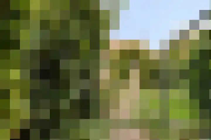 van der Renneweg 20 Herkenbosch thumbnail 33