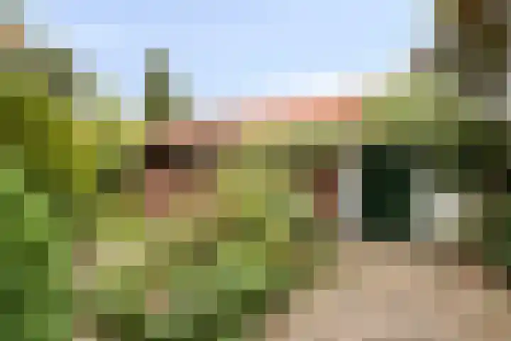 van der Renneweg 20 Herkenbosch thumbnail 34