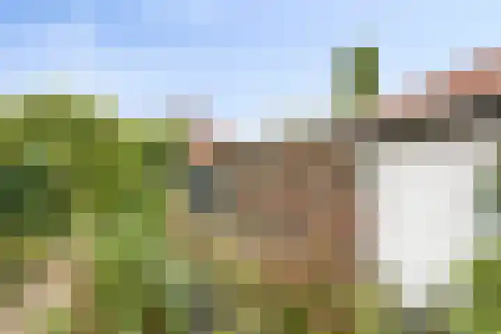 van der Renneweg 20 Herkenbosch thumbnail 35