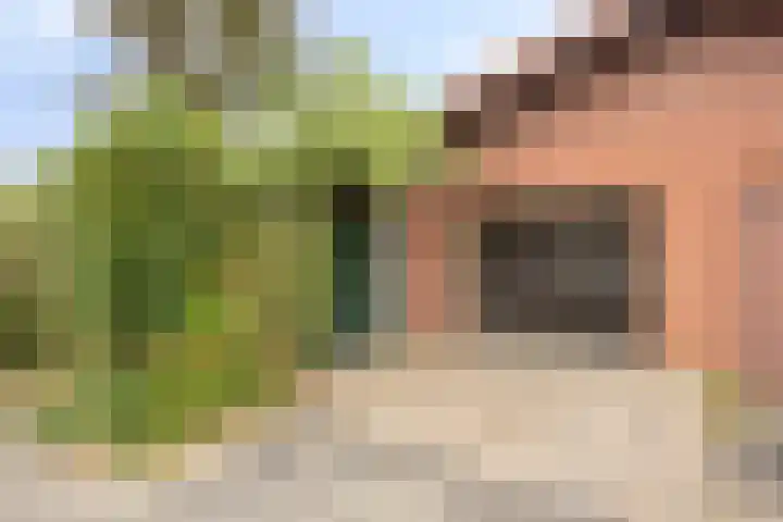 van der Renneweg 20 Herkenbosch thumbnail 37