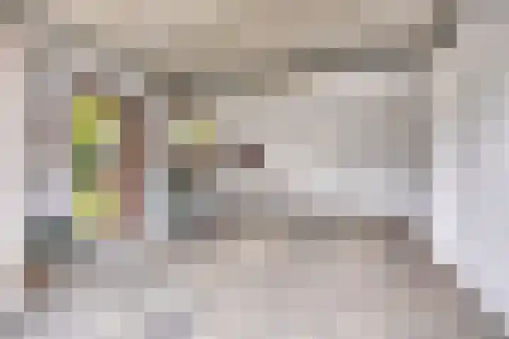 van der Renneweg 20 Herkenbosch thumbnail 38