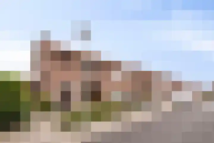van der Renneweg 20 Herkenbosch thumbnail 43