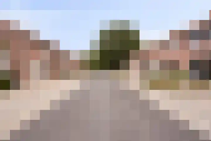 van der Renneweg 20 Herkenbosch thumbnail 44