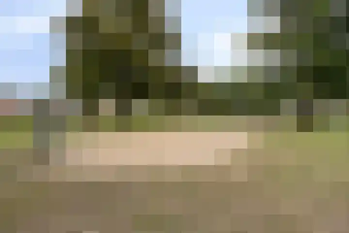 van der Renneweg 20 Herkenbosch thumbnail 46