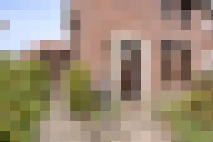 van der Renneweg 20 Herkenbosch thumbnail 5