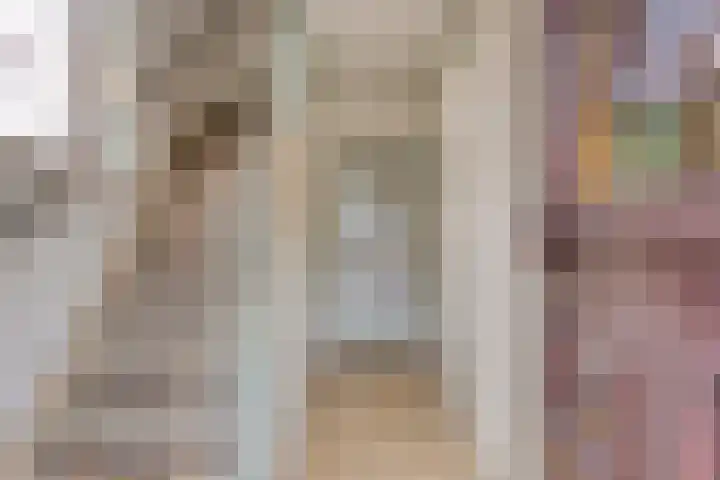 van der Renneweg 20 Herkenbosch thumbnail 7
