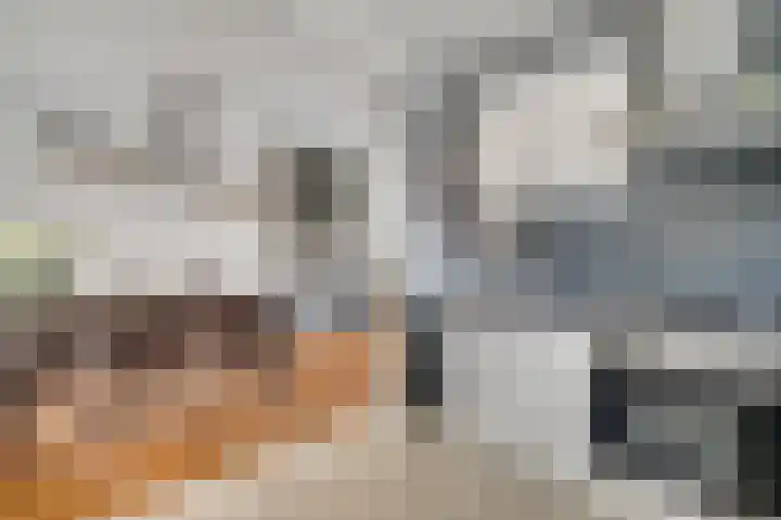 van der Renneweg 24 Herkenbosch thumbnail 12