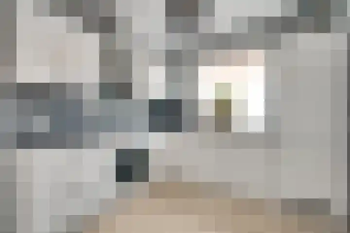 van der Renneweg 24 Herkenbosch thumbnail 13